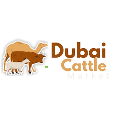 Dubai Cattle Market